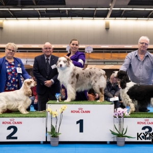 DOGSHOW_EINDHOVEN_2019_KYNOWEB_RON_BALTUS_20190205_12_26_45_KYNOWEB_Ron_Baltus_20190201_154631_X2309463-3