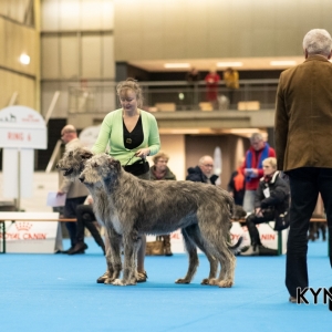 DOGSHOW_EINDHOVEN_2019_KYNOWEB_RON_BALTUS_20190205_12_26_46_KYNOWEB_Ron_Baltus_20190201_154904_XX031493-3
