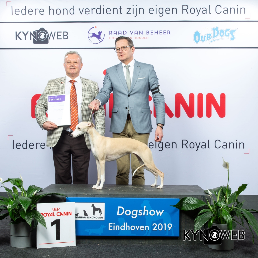 G_10_1_DOGSHOW_EINDHOVEN_2019_KYNOWEB_20190201_15_10_53_KY3_6750