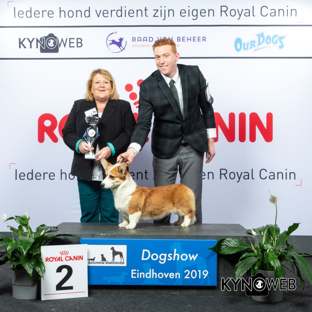 G_1_2_DOGSHOW_EINDHOVEN_2019_KYNOWEB_20190201_15_33_38_KY3_6776