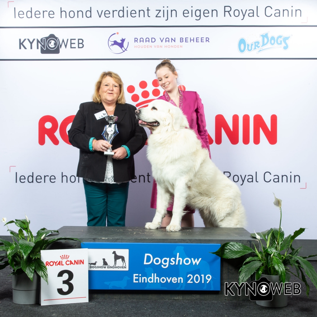 G_1_3_DOGSHOW_EINDHOVEN_2019_KYNOWEB_20190201_15_35_02_KY3_6779