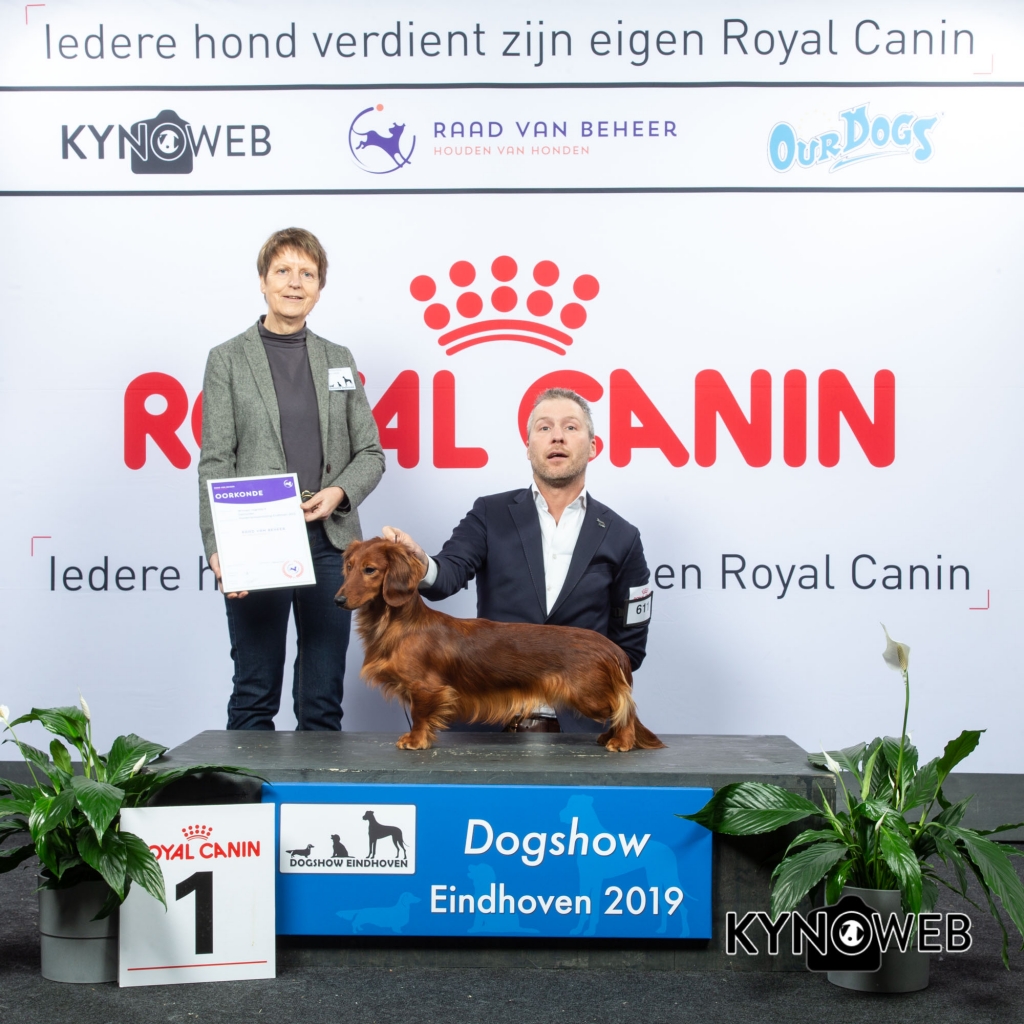 G_4_1_DOGSHOW_EINDHOVEN_2019_KYNOWEB_20190201_15_04_41_KY3_6740