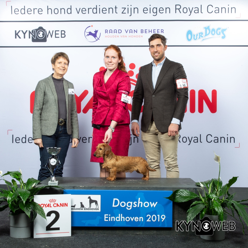 G_4_2_DOGSHOW_EINDHOVEN_2019_KYNOWEB_20190201_15_08_31_KY3_6745