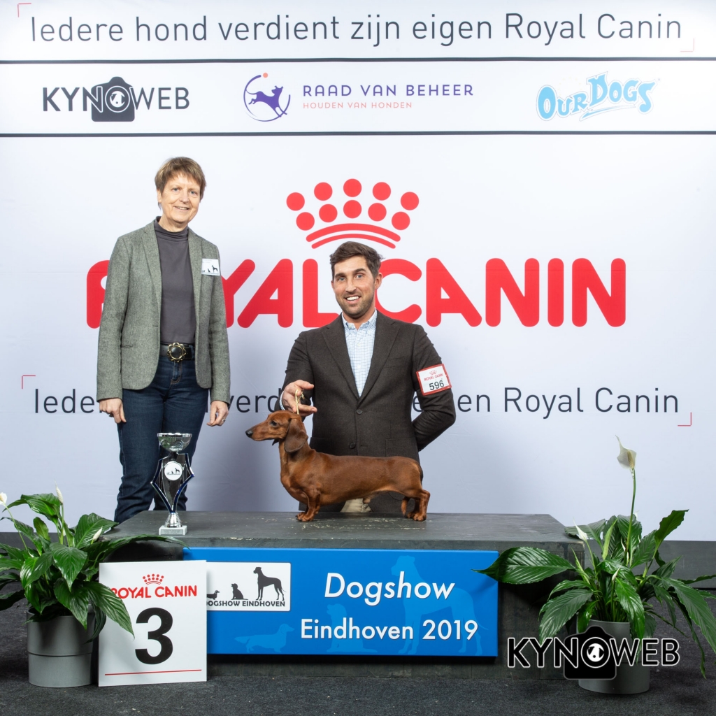 G_4_3_DOGSHOW_EINDHOVEN_2019_KYNOWEB_20190201_15_07_11_KY3_6743
