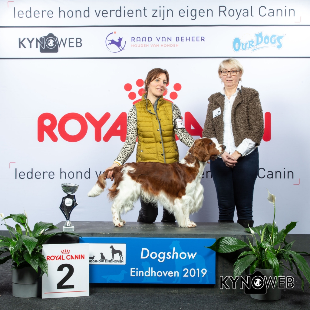 G_8_2_DOGSHOW_EINDHOVEN_2019_KYNOWEB_20190201_15_21_56_KY3_6763