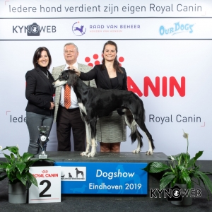 G_10_2_DOGSHOW_EINDHOVEN_2019_KYNOWEB_20190201_15_14_54_KY3_6754