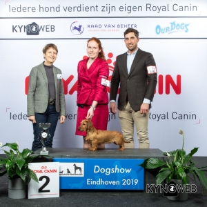 G_4_2_DOGSHOW_EINDHOVEN_2019_KYNOWEB_20190201_15_08_31_KY3_6745