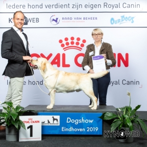 G_8_1_DOGSHOW_EINDHOVEN_2019_KYNOWEB_20190201_15_19_23_KY3_6760