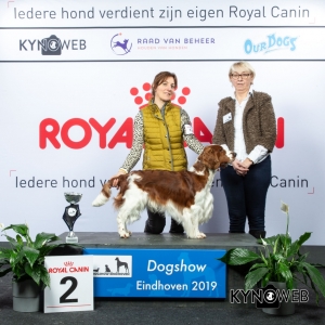 G_8_2_DOGSHOW_EINDHOVEN_2019_KYNOWEB_20190201_15_21_56_KY3_6763