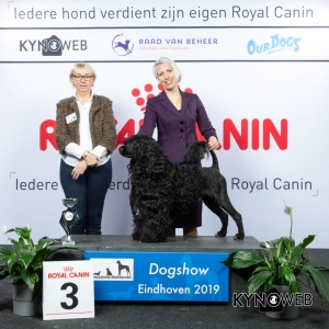 G_8_3_DOGSHOW_EINDHOVEN_2019_KYNOWEB_20190201_15_23_31_KY3_6766