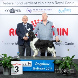 V_3_DOGSHOW_EINDHOVEN_2019_KYNOWEB_20190201_14_53_01_KY3_6722