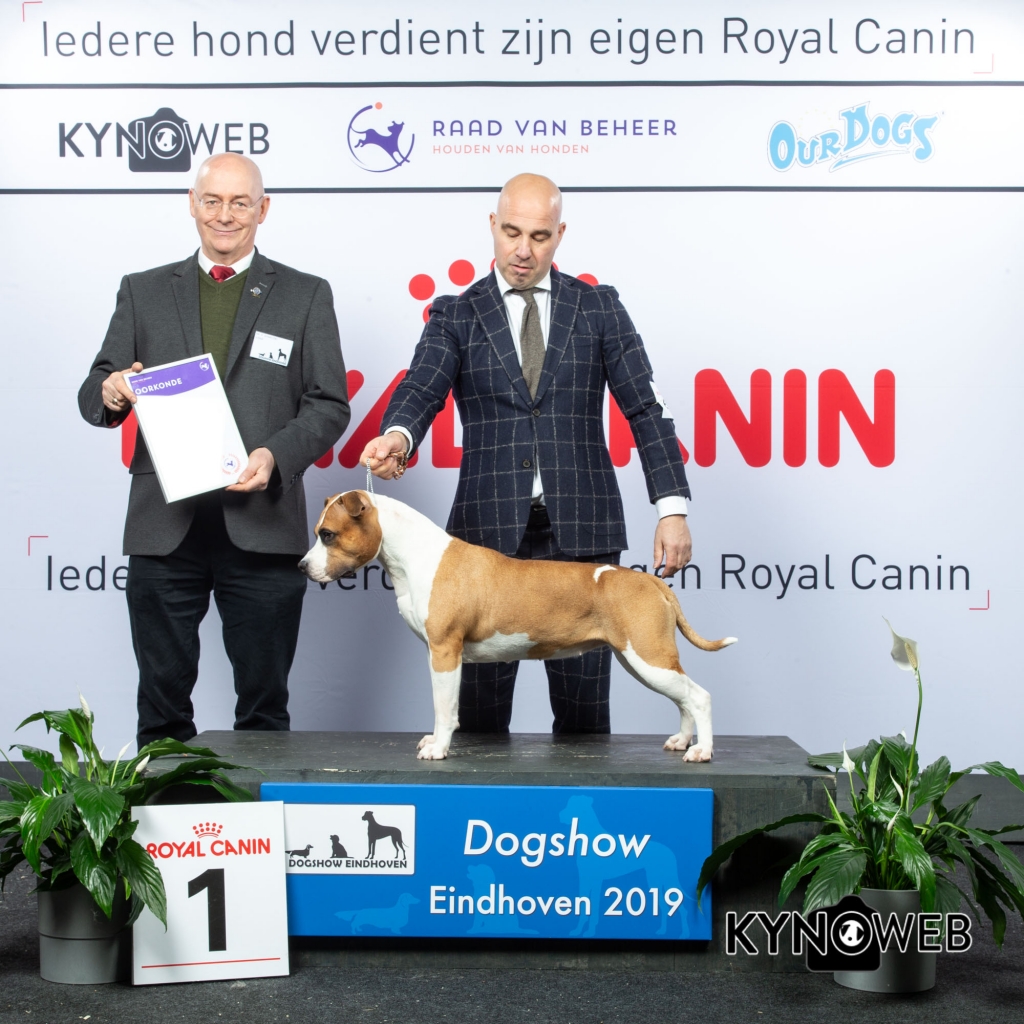G_3_1_DOGSHOW_EINDHOVEN_2019_KYNOWEB_20190202_14_52_17_KY3_7214