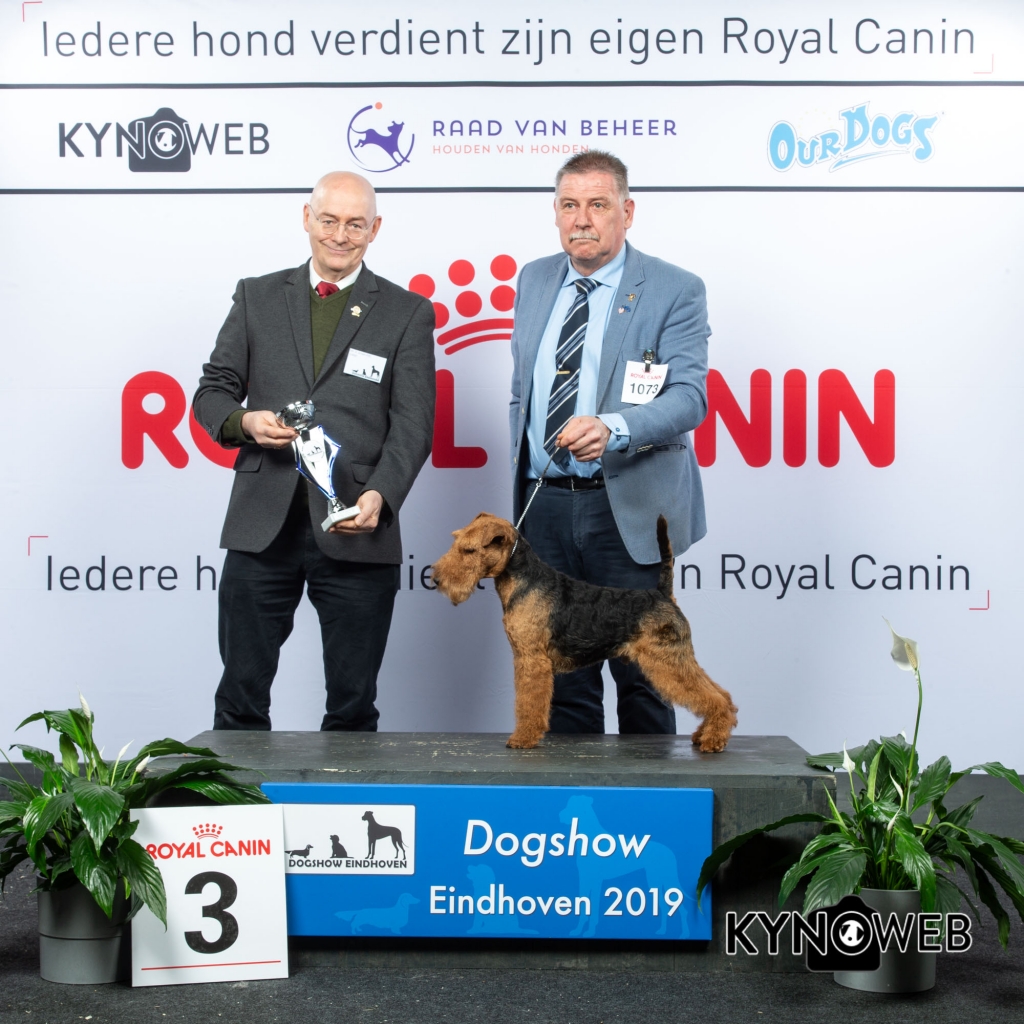 G_3_3_DOGSHOW_EINDHOVEN_2019_KYNOWEB_20190202_14_54_59_KY3_7216