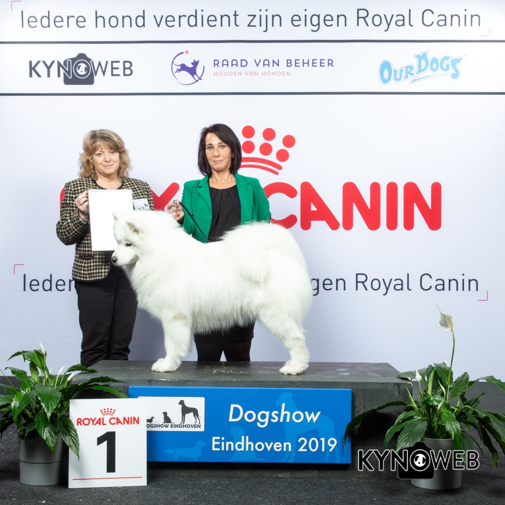 G_5_1_DOGSHOW_EINDHOVEN_2019_KYNOWEB_20190202_15_03_09_KY3_7224
