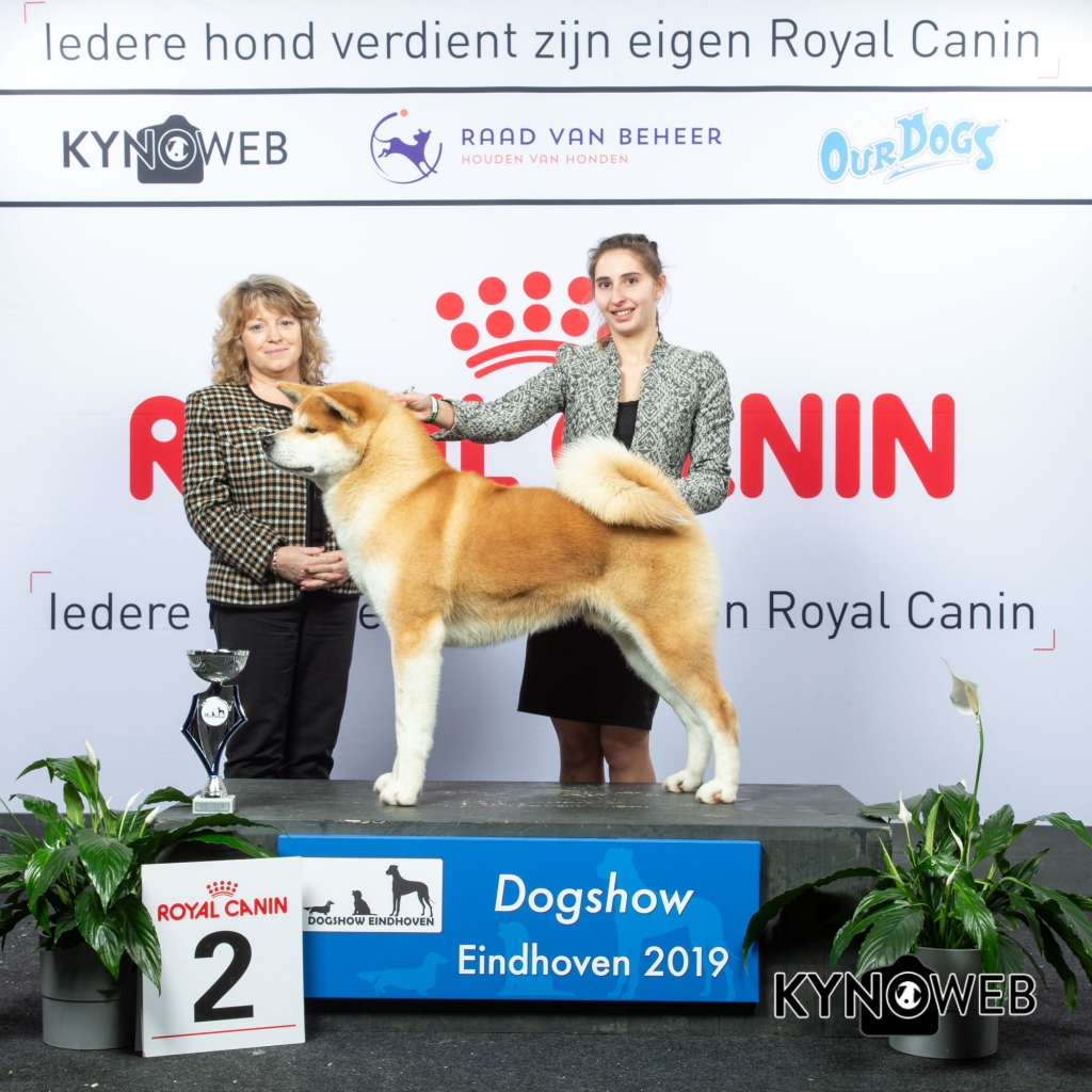 G_5_2_DOGSHOW_EINDHOVEN_2019_KYNOWEB_20190202_15_05_04_KY3_7227