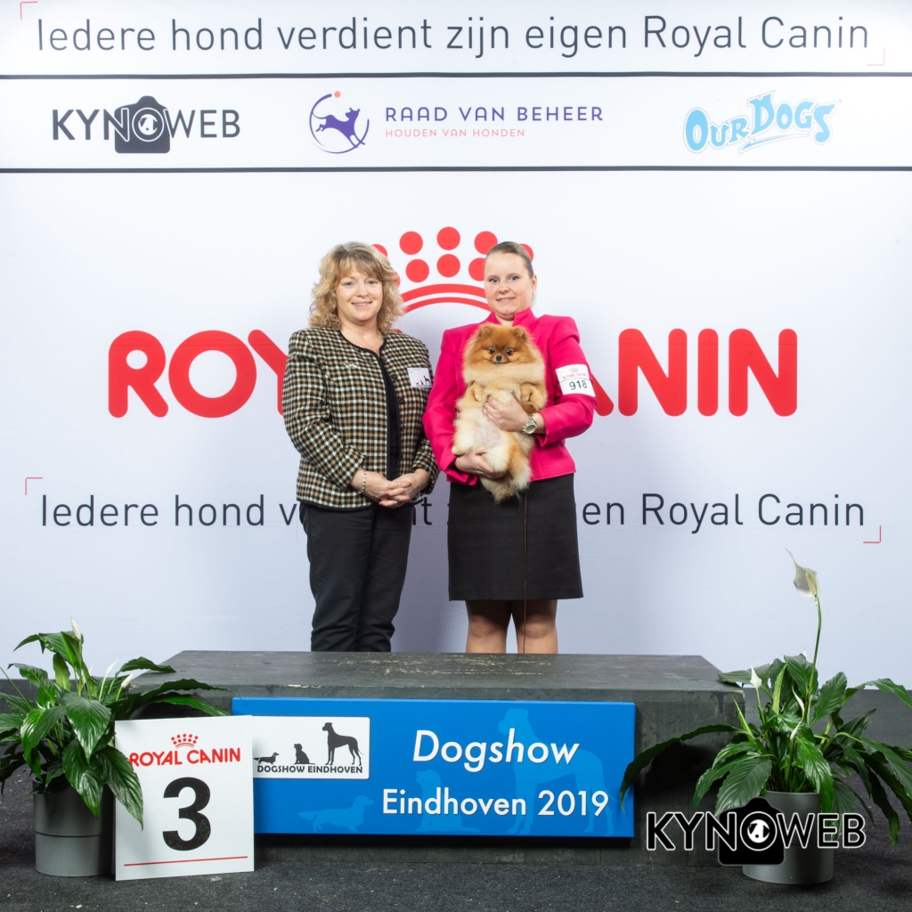 G_5_3_DOGSHOW_EINDHOVEN_2019_KYNOWEB_20190202_15_05_52_KY3_7228