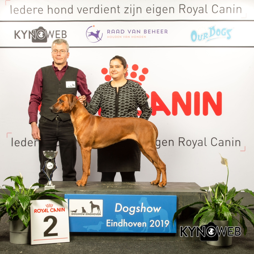 G_6_2_DOGSHOW_EINDHOVEN_2019_KYNOWEB_20190202_14_29_54_KY3_7196