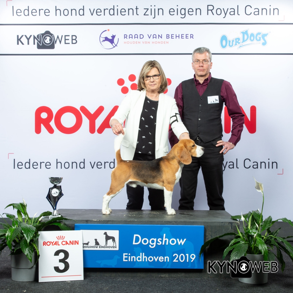 G_6_3_DOGSHOW_EINDHOVEN_2019_KYNOWEB_20190202_14_31_31_KY3_7200