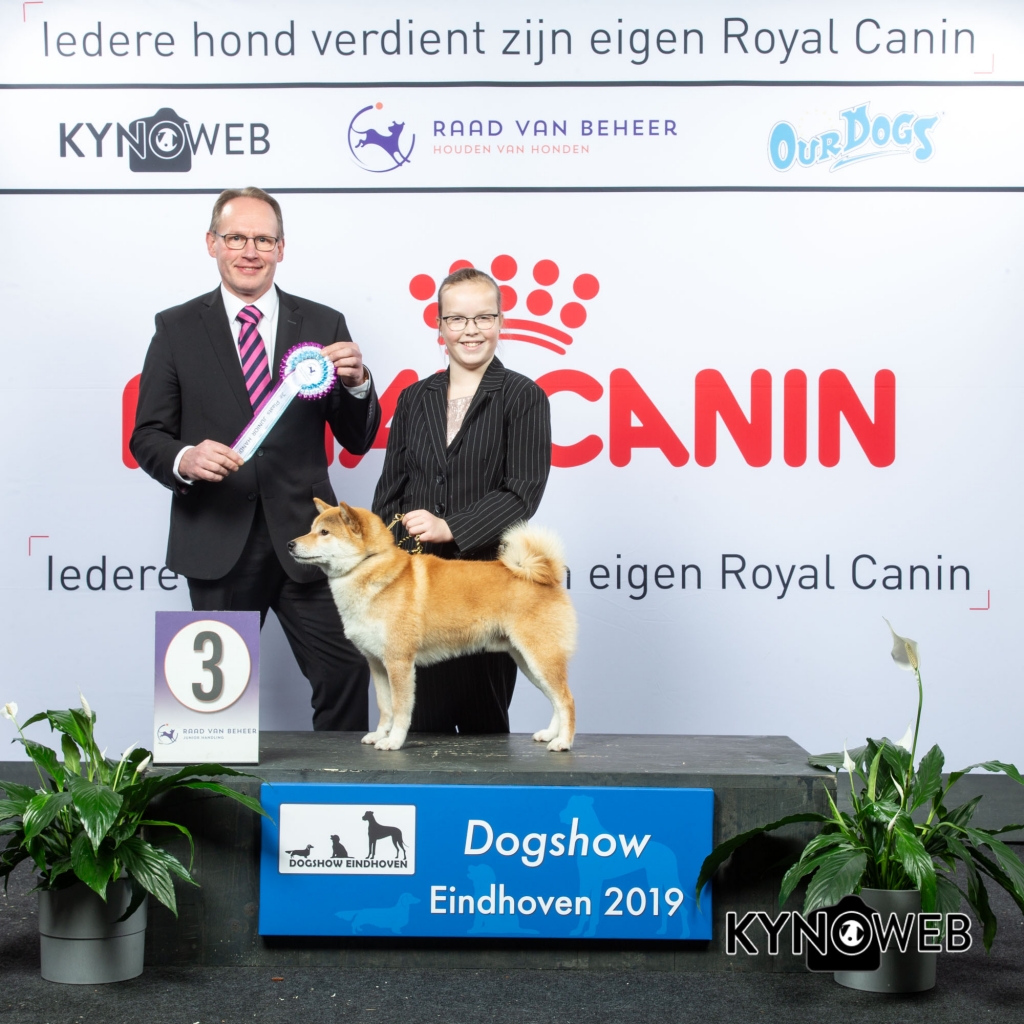 JH_3_Femkejanssen_DOGSHOW_EINDHOVEN_2019_KYNOWEB_20190202_13_37_49_KY3_7130