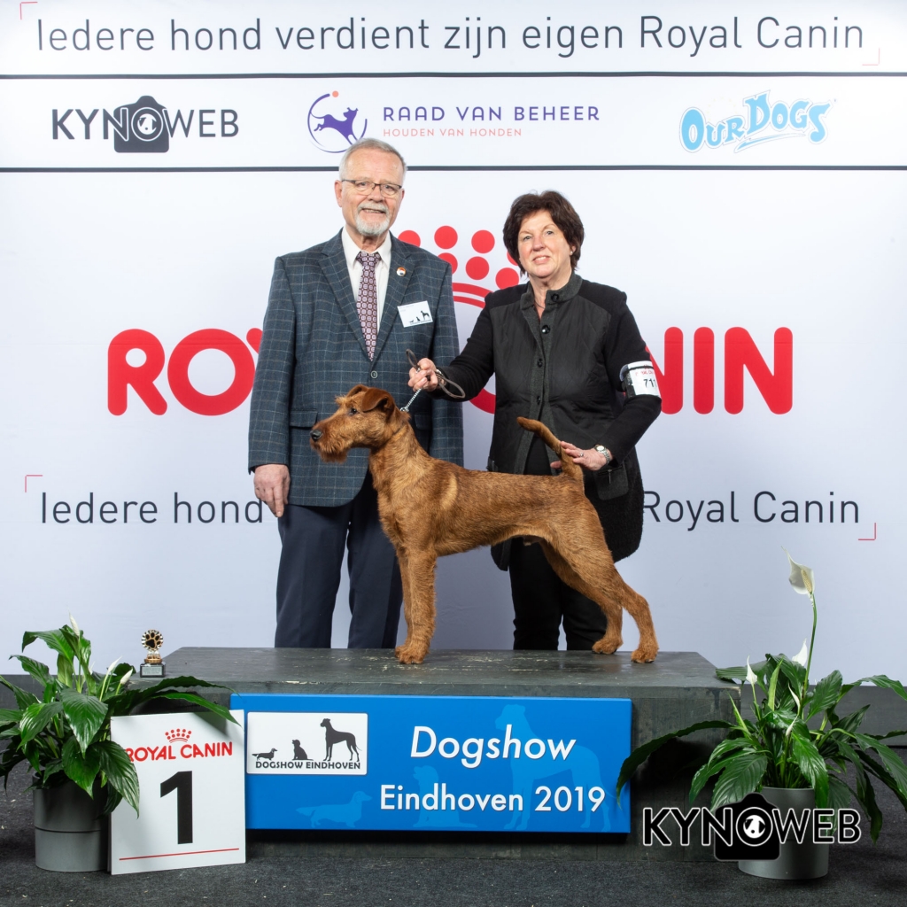 P_1_DOGSHOW_EINDHOVEN_2019_KYNOWEB_20190202_14_00_10_KY3_7156