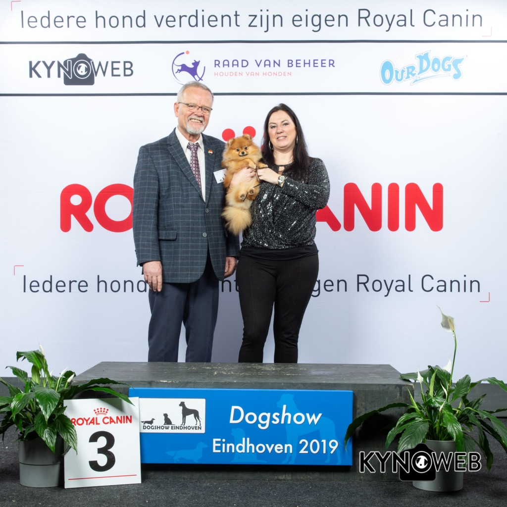 P_3_DOGSHOW_EINDHOVEN_2019_KYNOWEB_20190202_14_02_42_KY3_7161