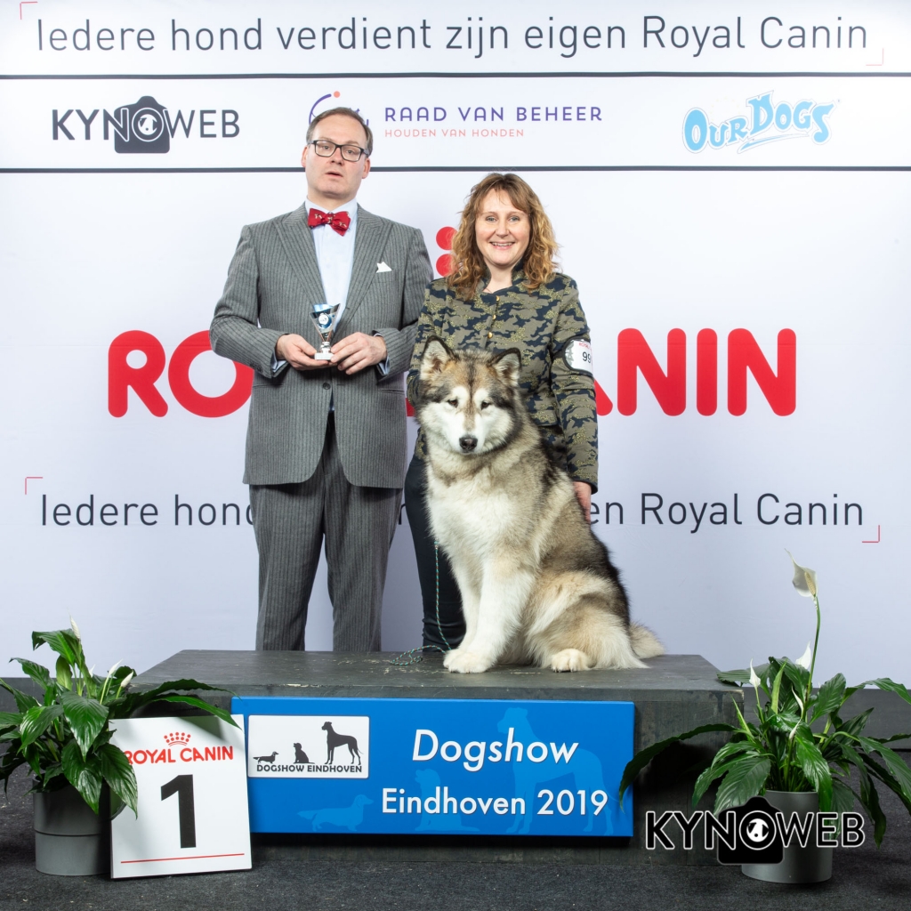 V_1_DOGSHOW_EINDHOVEN_2019_KYNOWEB_20190202_14_08_16_KY3_7172