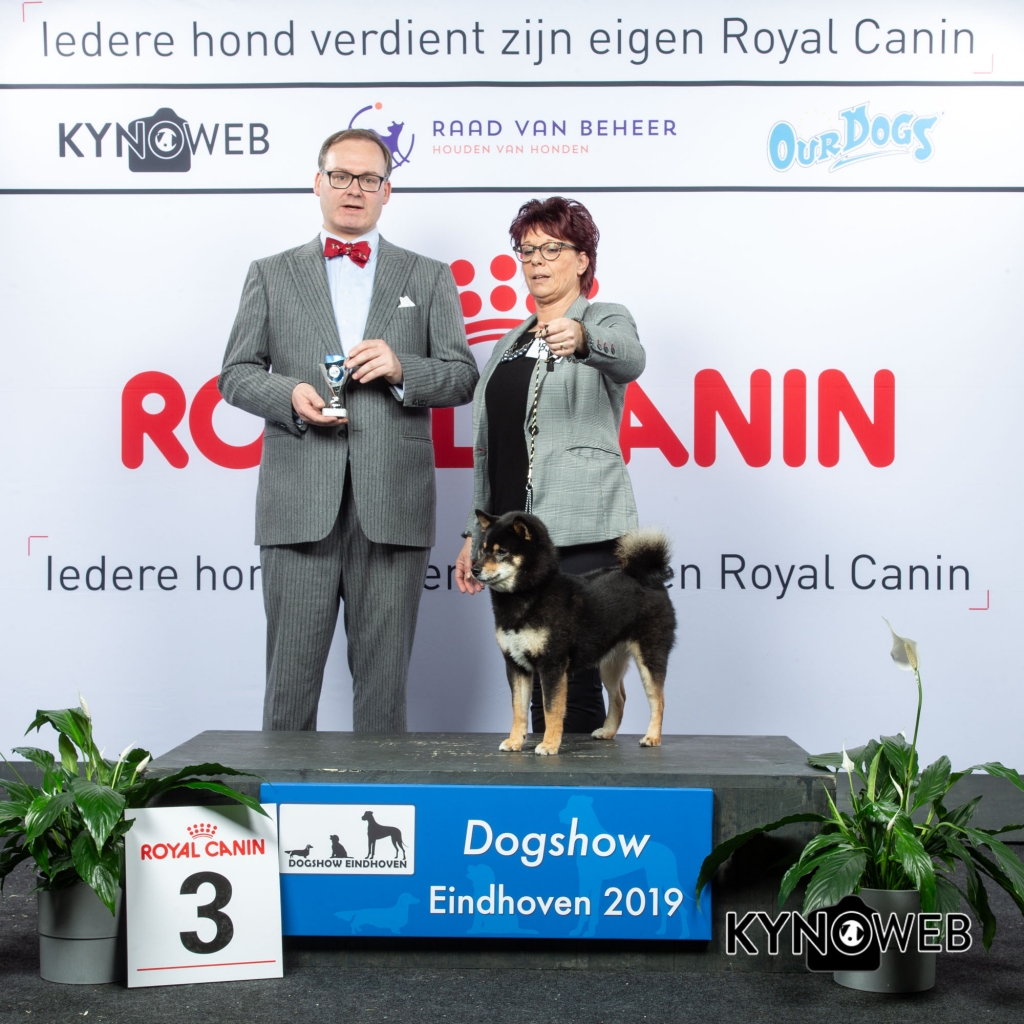 V_3_DOGSHOW_EINDHOVEN_2019_KYNOWEB_20190202_14_14_13_KY3_7179