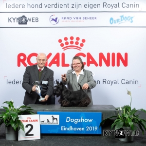 G_3_2_DOGSHOW_EINDHOVEN_2019_KYNOWEB_20190202_14_53_26_KY3_7215
