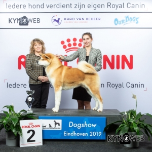 G_5_2_DOGSHOW_EINDHOVEN_2019_KYNOWEB_20190202_15_05_04_KY3_7227