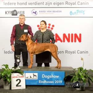 G_6_2_DOGSHOW_EINDHOVEN_2019_KYNOWEB_20190202_14_29_54_KY3_7196