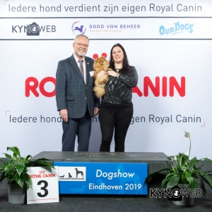 P_3_DOGSHOW_EINDHOVEN_2019_KYNOWEB_20190202_14_02_42_KY3_7161