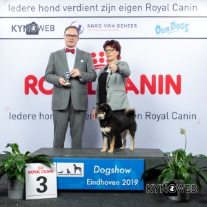 V_3_DOGSHOW_EINDHOVEN_2019_KYNOWEB_20190202_14_14_13_KY3_7179