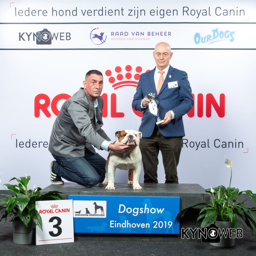 G_2_3_DOGSHOW_EINDHOVEN_2019_KYNOWEB_20190203_15_05_45_KY3_7765