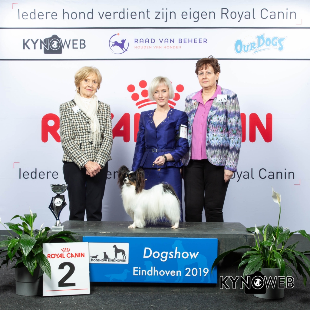 G_9_2_DOGSHOW_EINDHOVEN_2019_KYNOWEB_20190203_14_45_59_KY3_7744