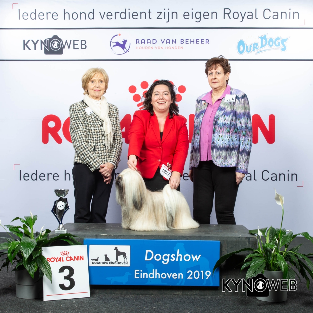 G_9_3_DOGSHOW_EINDHOVEN_2019_KYNOWEB_20190203_14_47_32_KY3_7746