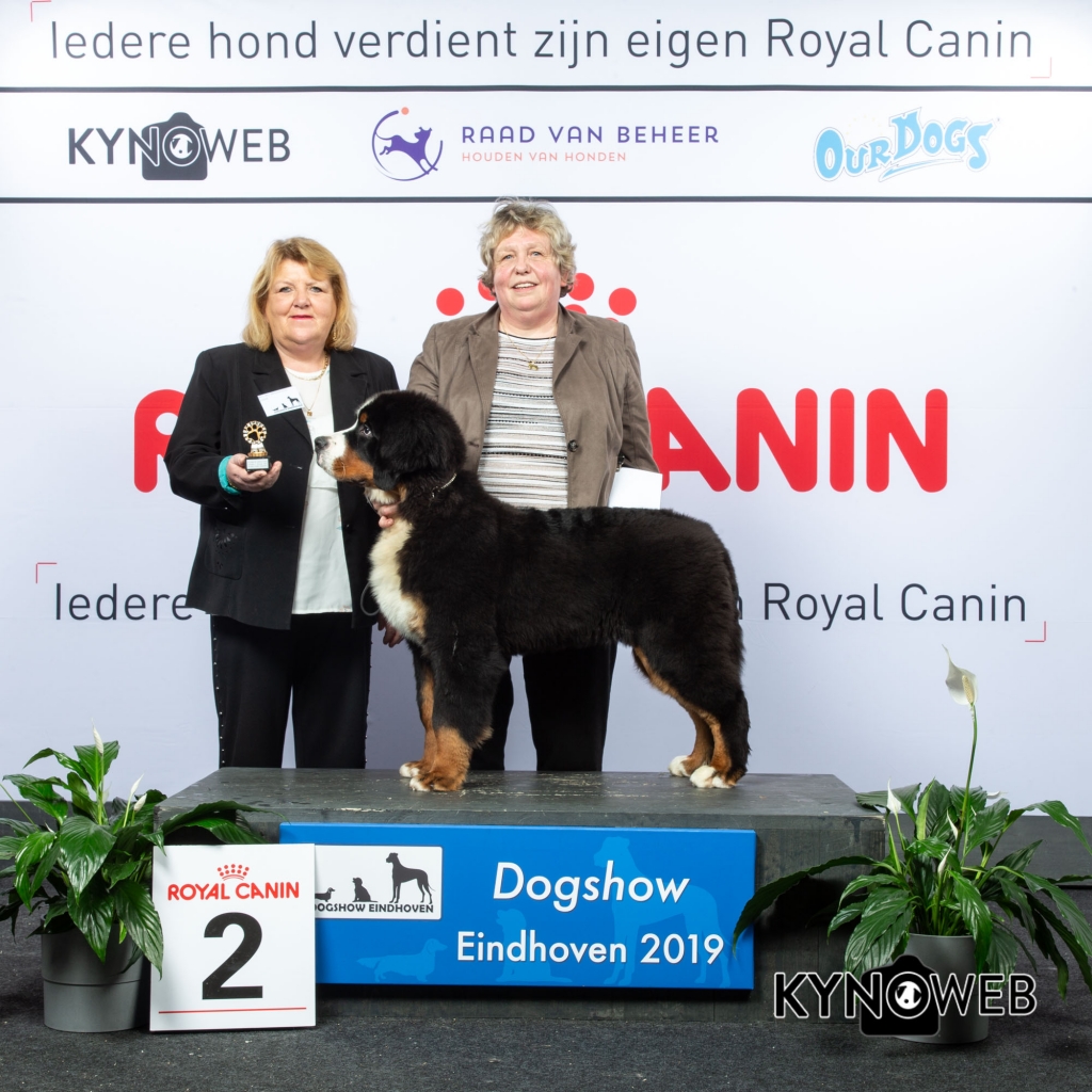J_2_DOGSHOW_EINDHOVEN_2019_KYNOWEB_20190203_14_06_19_KY3_7691