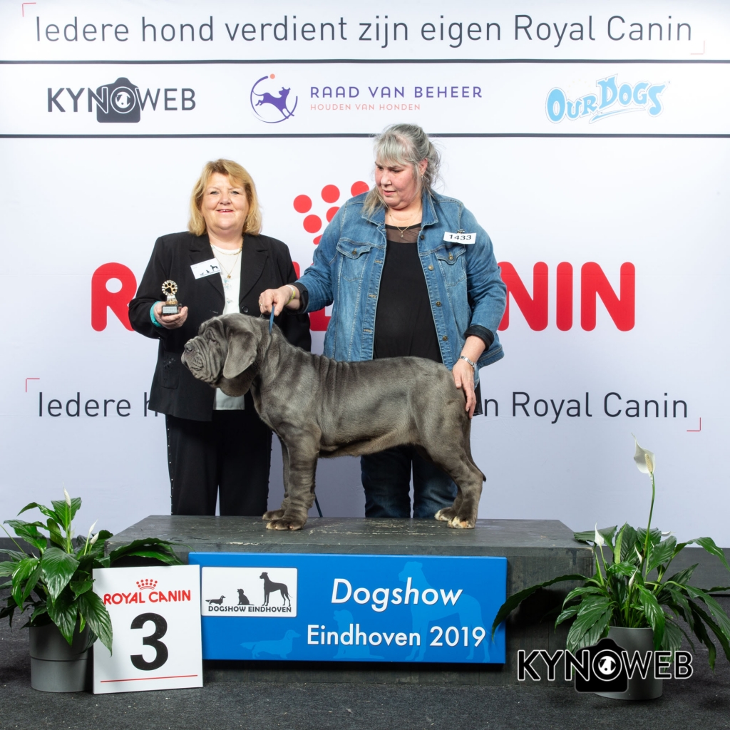 J_3_DOGSHOW_EINDHOVEN_2019_KYNOWEB_20190203_14_07_56_KY3_7693