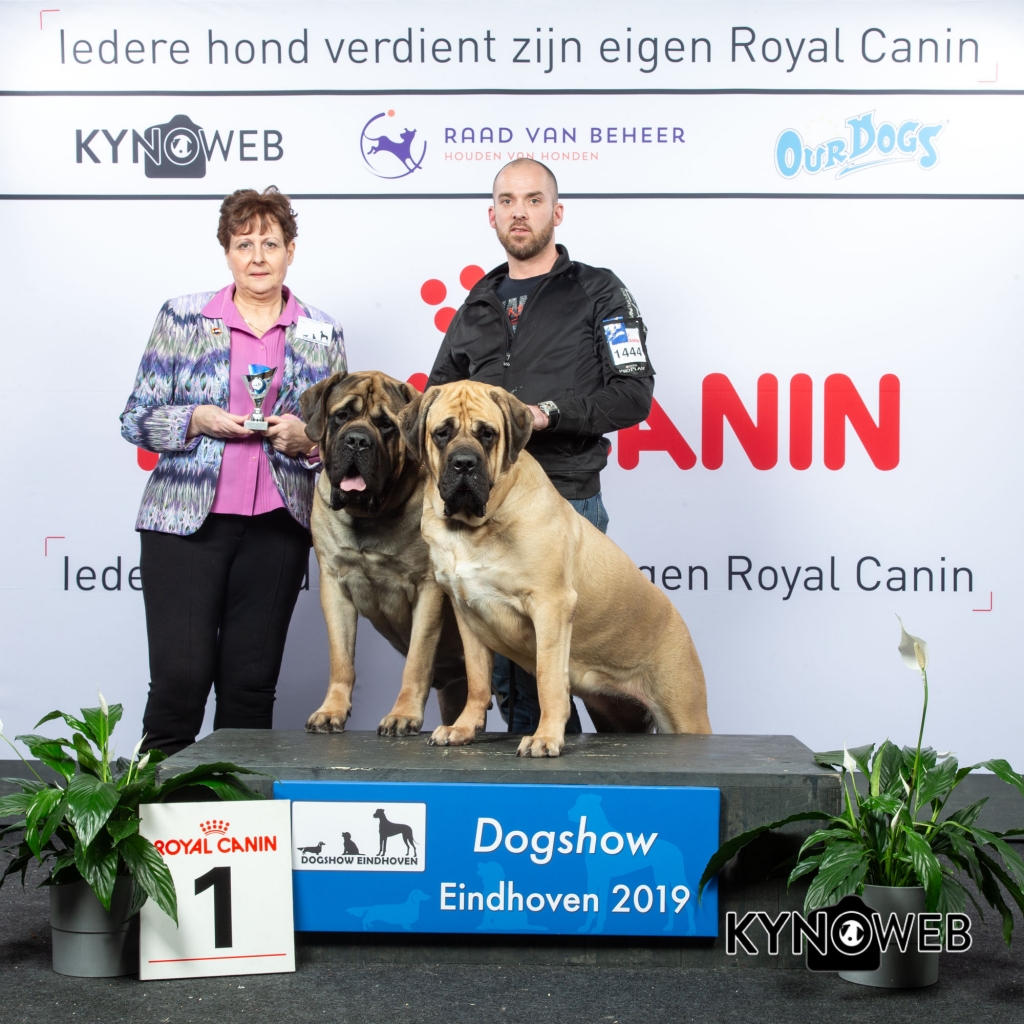 K_1_DOGSHOW_EINDHOVEN_2019_KYNOWEB_20190203_14_30_04_KY3_7734