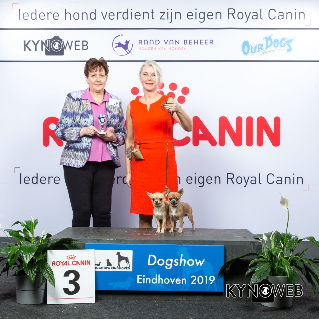 K_3_DOGSHOW_EINDHOVEN_2019_KYNOWEB_20190203_14_31_23_KY3_7736