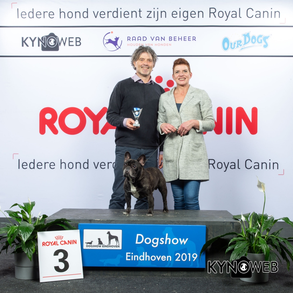 V_3_DOGSHOW_EINDHOVEN_2019_KYNOWEB_20190203_14_28_07_KY3_7730