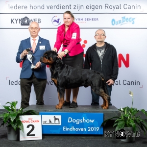 G_2_2_DOGSHOW_EINDHOVEN_2019_KYNOWEB_20190203_15_03_45_KY3_7761