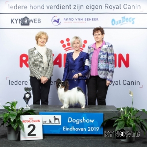 G_9_2_DOGSHOW_EINDHOVEN_2019_KYNOWEB_20190203_14_45_59_KY3_7744