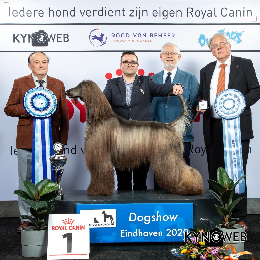 BIS_1_LR_DOGSHOW_EINDHOVEN_2020_KYNOWEB_KY3_2830_20200209_16_39_53