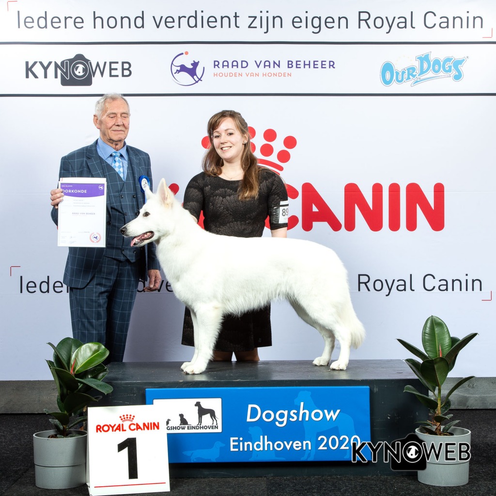 G_1_1_LR_DOGSHOW_EINDHOVEN_2020_KYNOWEB_KY3_2239_20200208_17_02_32