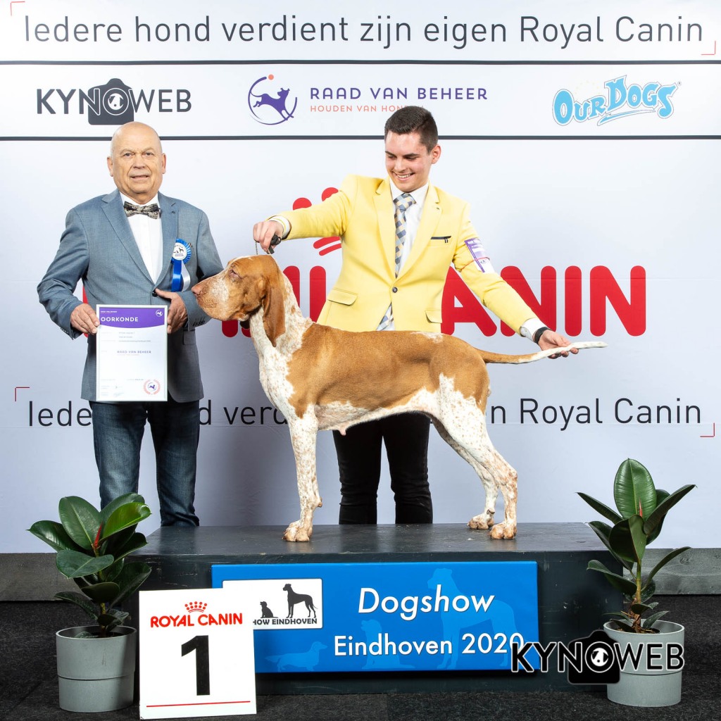 G_7_1_LR_DOGSHOW_EINDHOVEN_2020_KYNOWEB_KY3_2197_20200208_16_18_49