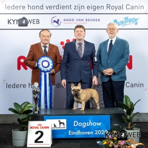 BIS_2_LR_DOGSHOW_EINDHOVEN_2020_KYNOWEB_KY3_2836-Edit_20200209_16_45_45