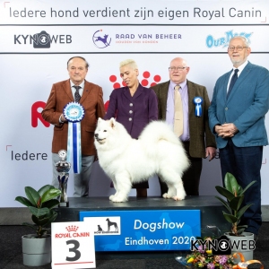 BIS_3_LR_DOGSHOW_EINDHOVEN_2020_KYNOWEB_KY3_2848_20200209_16_53_33