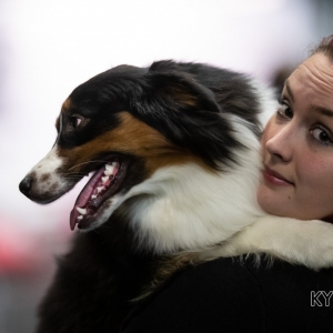 *** Dog Show Eindhoven, 8-9 februari 2020 Venray ***