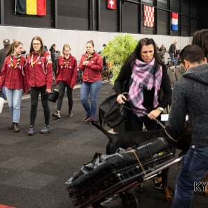 *** Dog Show Eindhoven, 8-9 februari 2020 Venray ***