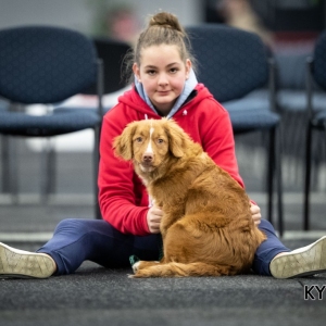 *** Dog Show Eindhoven, 8-9 februari 2020 Venray ***